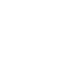 OPUS V