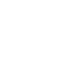 puls
