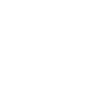 Saittavini