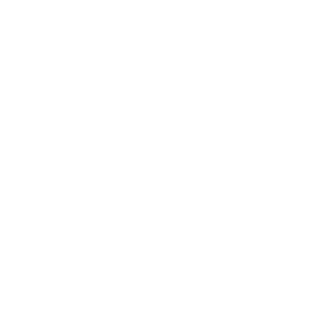 schanz.